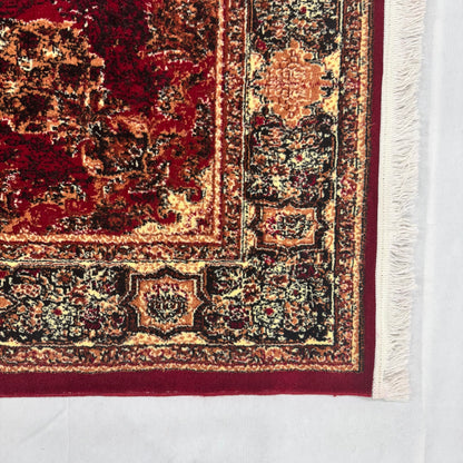 Persian Kashani Red Medallion Rug 7x10 ft – 500 Reeds Nylon Machine-Made Iran