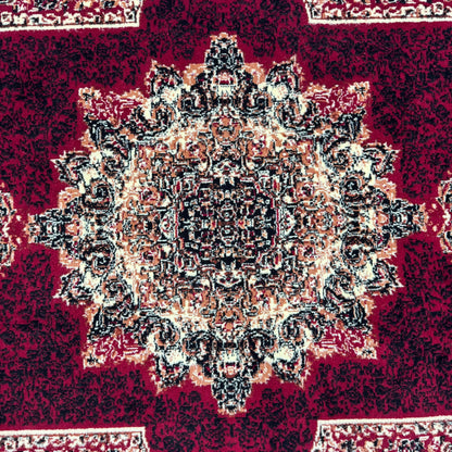 Persian Kashani Red Medallion Rug 8x11 ft – 500 Reeds Nylon Machine-Made Iran
