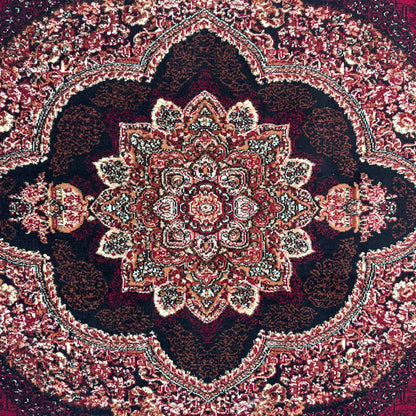 Persian Kashani Red Classic Medallion Rug 7x10 ft – 500 Reeds Nylon Machine-Made Iran