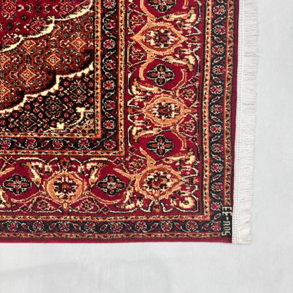 Persian Kashani Red Classic Medallion Rug 7x10 ft – 500 Reeds Nylon Machine-Made Iran