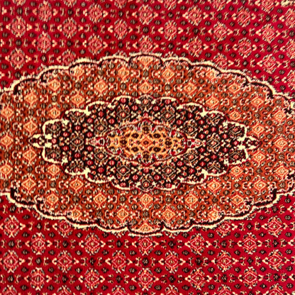 Persian Kashani Red Classic Medallion Rug 7x10 ft – 500 Reeds Nylon Machine-Made Iran