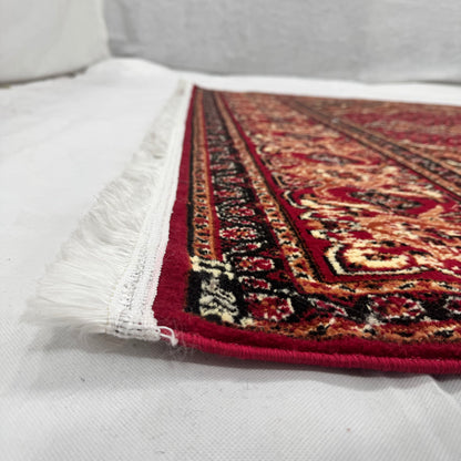 Persian Kashani Red Classic Medallion Rug 7x10 ft – 500 Reeds Nylon Machine-Made Iran